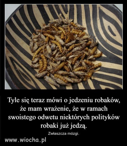 A wszystko zaczęło się Rosji i putinowskiej propagandzie...