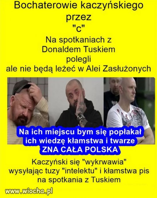 Desperaci propagandy Kaczynskiego, od zamieszania!