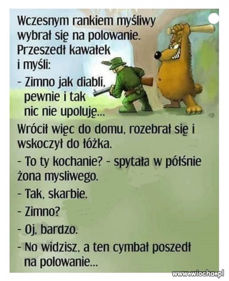 Bez polityki
