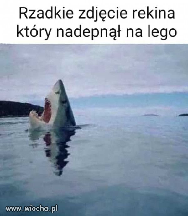 Dla odmiany.