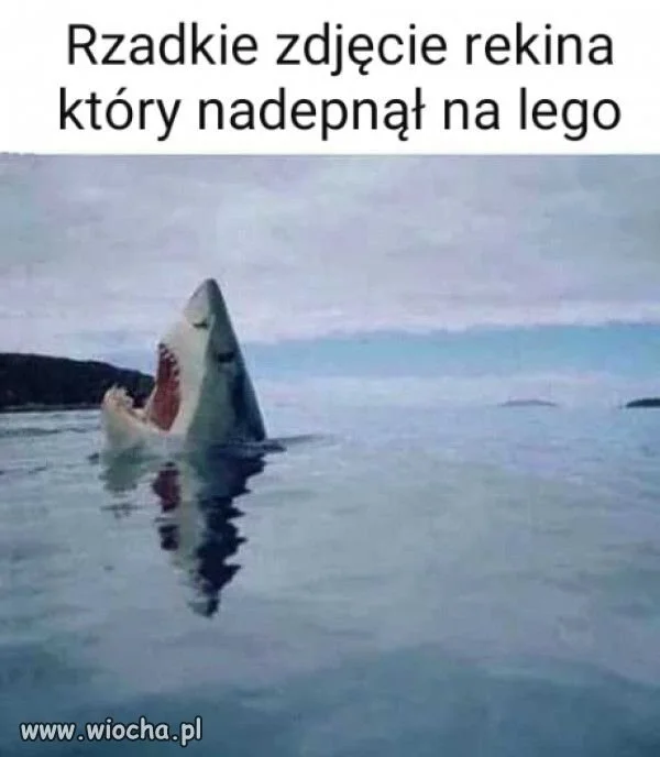 Dla odmiany.
