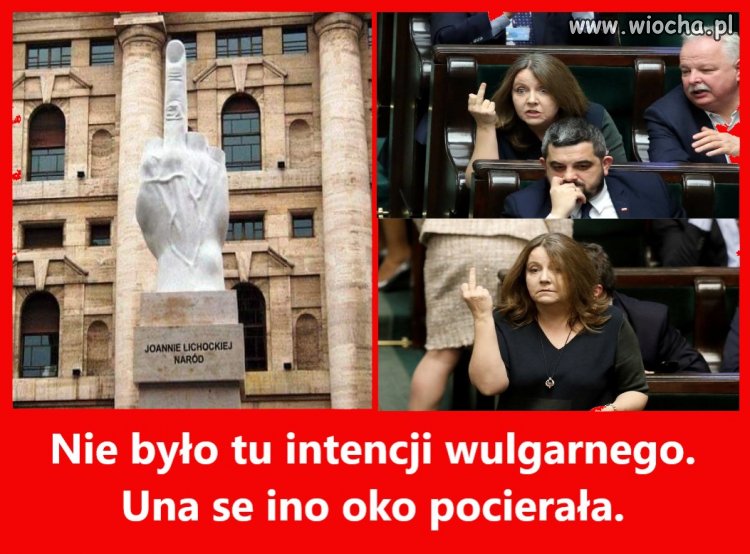 Jak lwica walczyła w Sejmie o pieniądze.