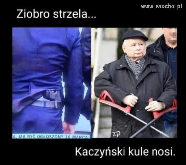 Kaczor kule nosi 