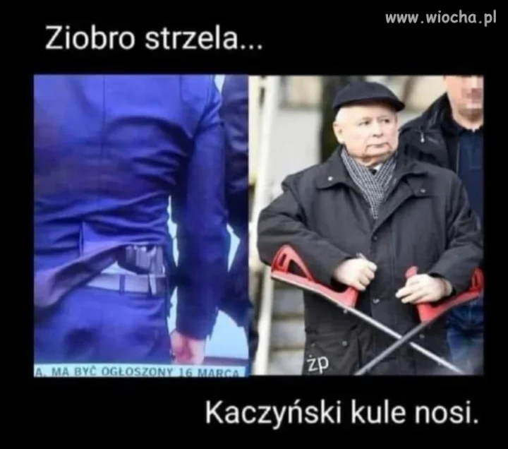 Kaczor kule nosi 