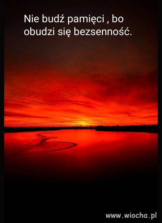 Czasami nie warto