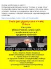Ostatni bój, strach i determinacja hołoty PiSu...