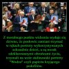 Czym dla katolika są ofiary pedofilów w sutannach 