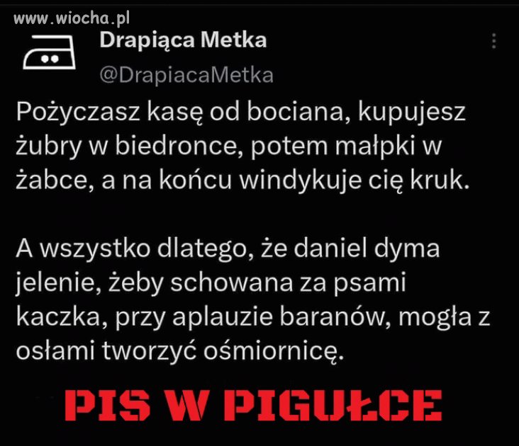 Nic dodać, nic ująć