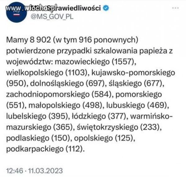 Od razu widać skąd pisiory wyszli 