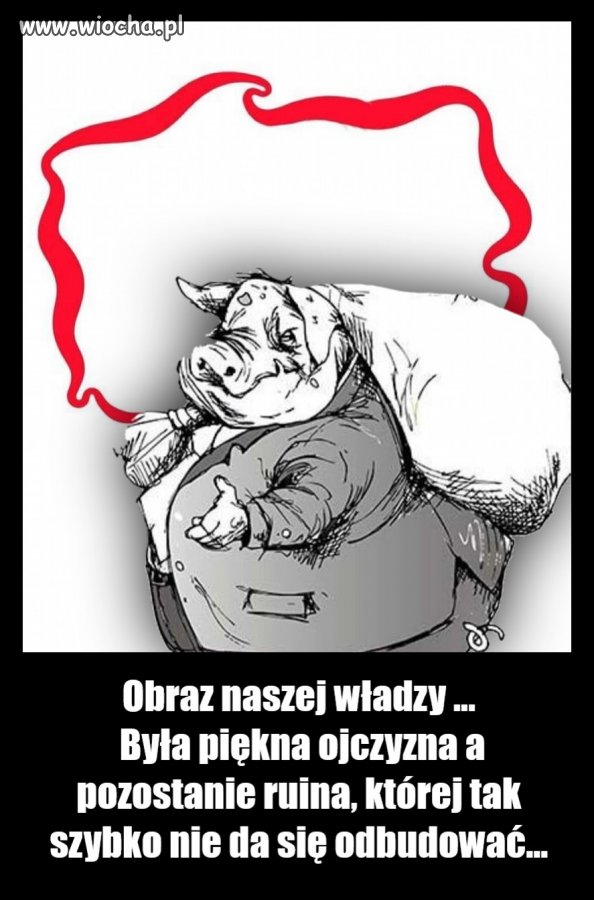 Co jeszcze ukraść, żeby zarobić?
