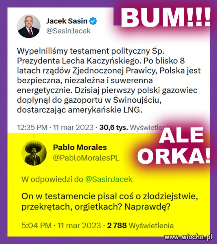 Piękna orka po pisowskim przygłupie