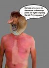 Po co miałbym kłamać?