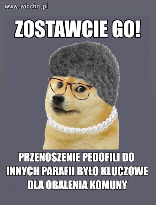 Mohery już skomlą... podłe pokolenie musi wymrzeć 