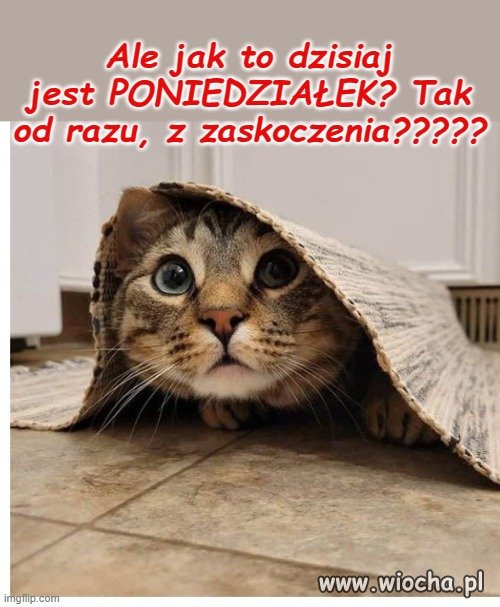 W całym kraju dziś niespodziewanie