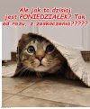 W całym kraju dziś niespodziewanie