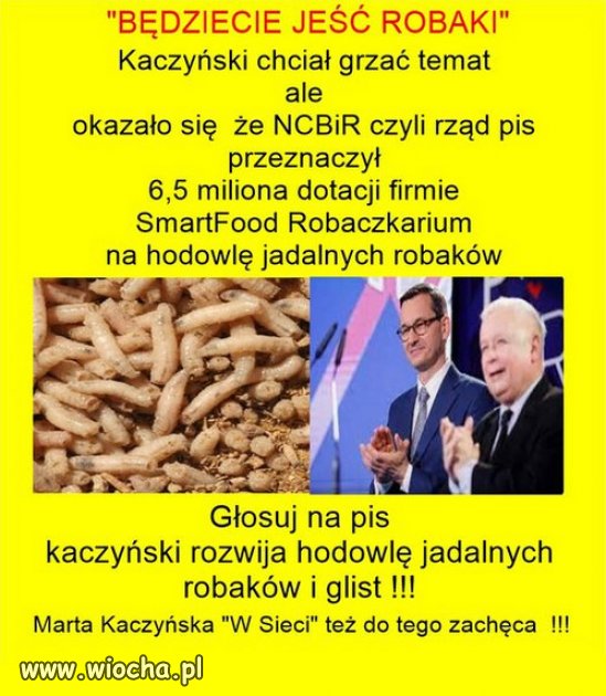 Tak wygląda prymitywna propaganda PiSu...