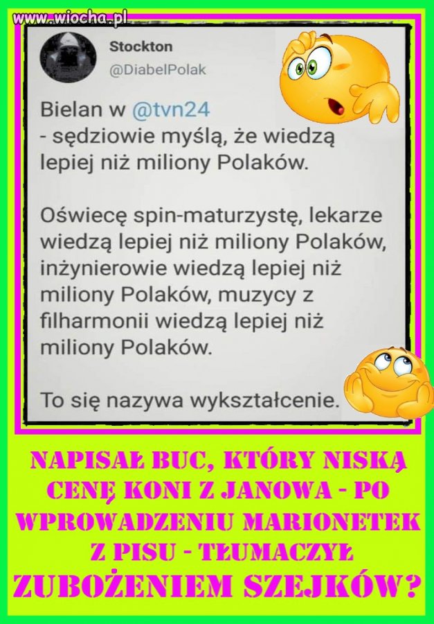 W PiS wykształcenie nie nie jest wymagane 
