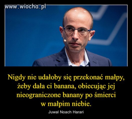 Wychodzi na to, że małpy są mądrzejsze od części ludzi.