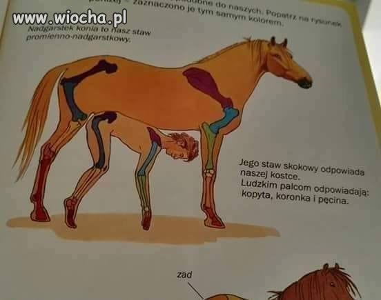 Co Pan na to Panie Czarnek ?