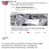 Bez polityki.