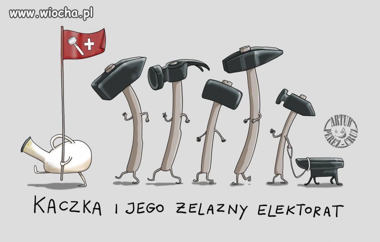 A gdyby tak elektoratem w kaczkę?