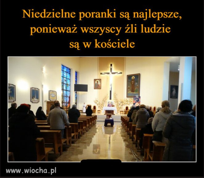 Nawet na wiocha mniej trolli PiSu...