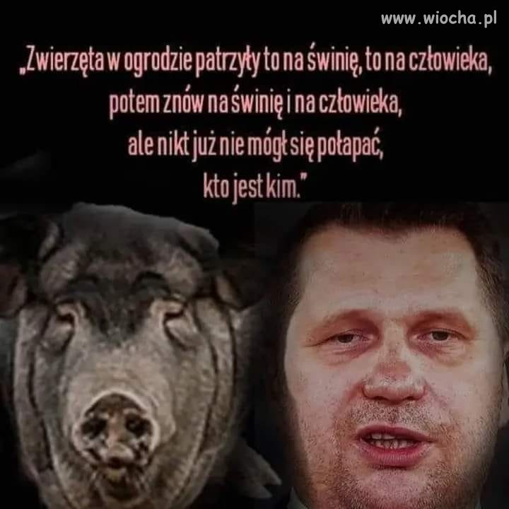 Niczym się od siebie nie różnią wypisz wymaluj tacy sami.
