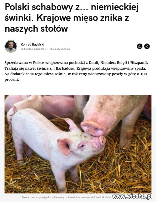 Tak PiS zadbał o polskie rolnictwo, jak o wszystko inne...