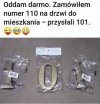 Bez polityki