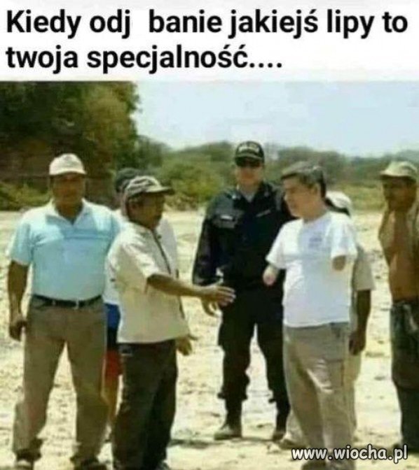 Przeciętny polityk PiS 
