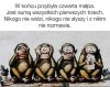 Ewolucja...