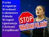Jednym słowem KRYCHA