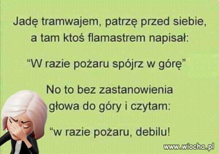 Dowcipniś