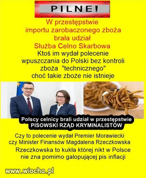 Afera robactwa z Ukrainy, była centralnie zaplanowana przez PiS!