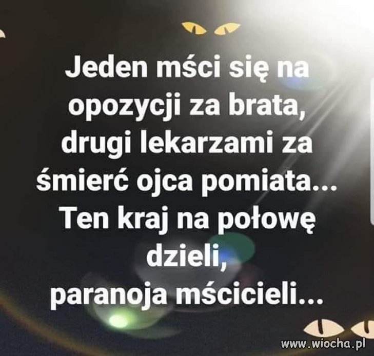 Kraj rządzony przez paranoików i szaleńców