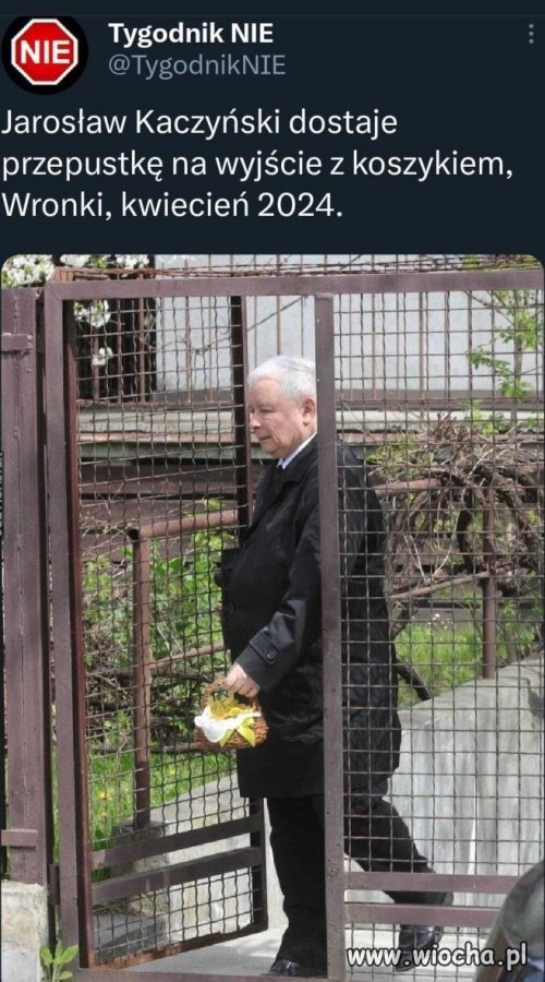 Za rok o tej porze