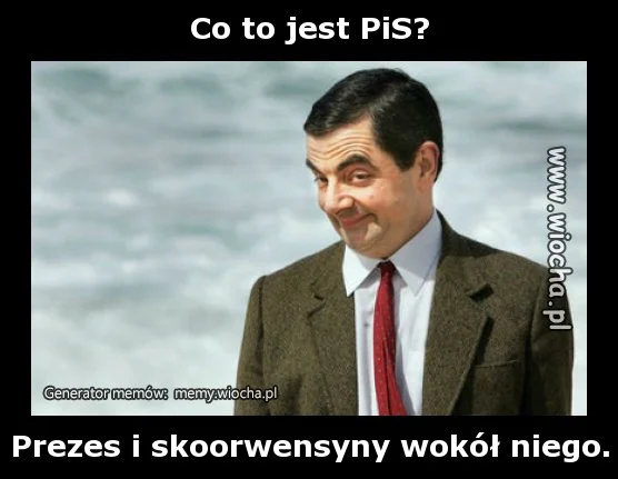 Co to jest PiS?