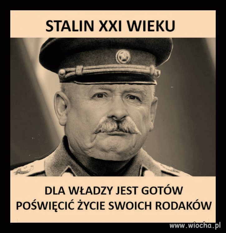 Karłata gadzina