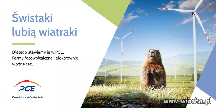 Reklama za rekordowe zyski z twojej kieszeni