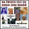 Spokojnie 