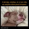 O kurcze! Jeszcze okna!