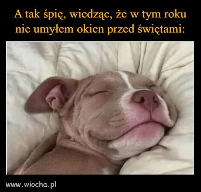 O kurcze! Jeszcze okna!