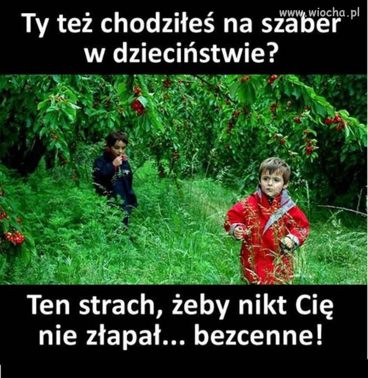 Na papierówki