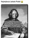 Wstrętna gadzina