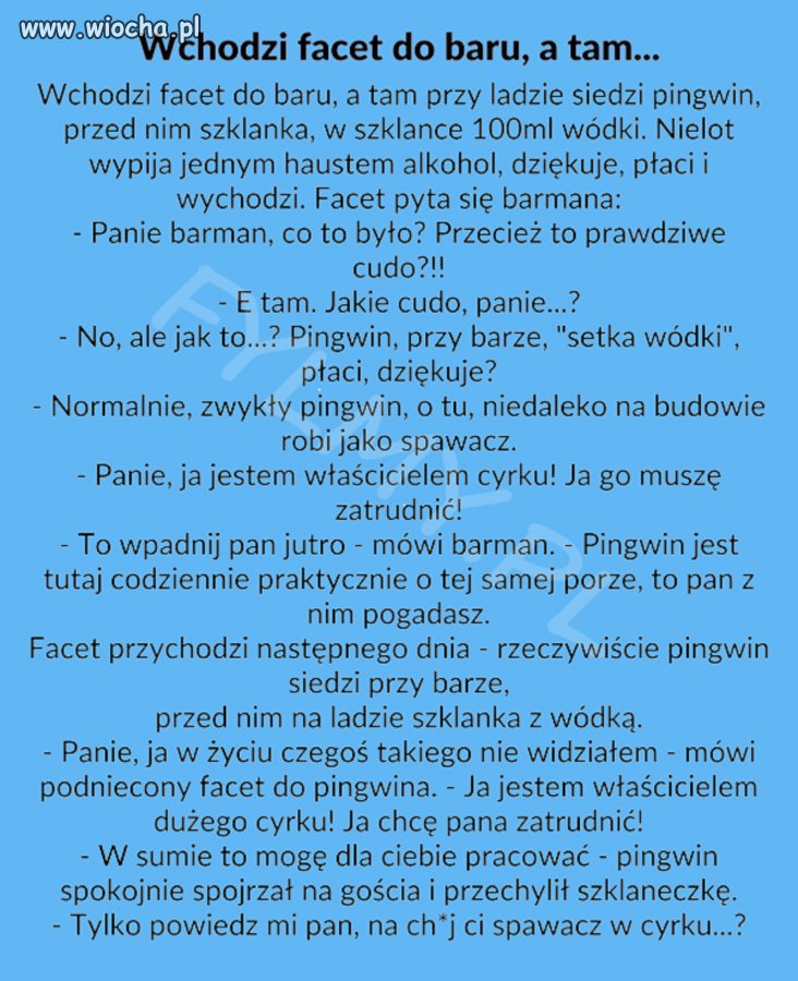Logika aż powala