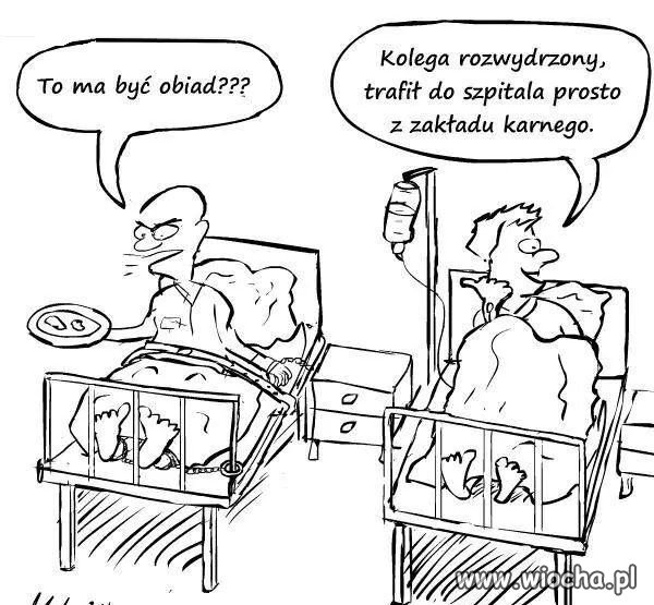 PiS dba o swoich.