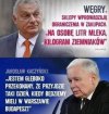 Dobry prrzykład