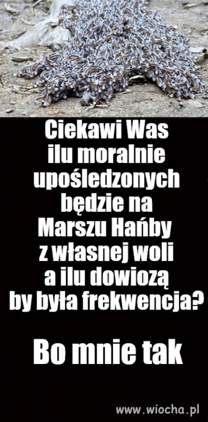 Wypaczona religijnie pleń