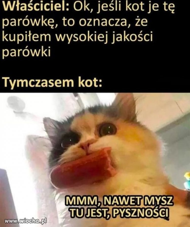 Tam może być wszystko