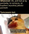 Tam może być wszystko